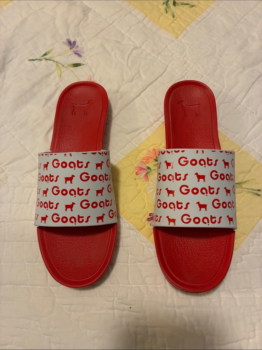 NWOT- Red Slide Sandals with 'Goats' Printed Strap Size- Kids Narrow 1